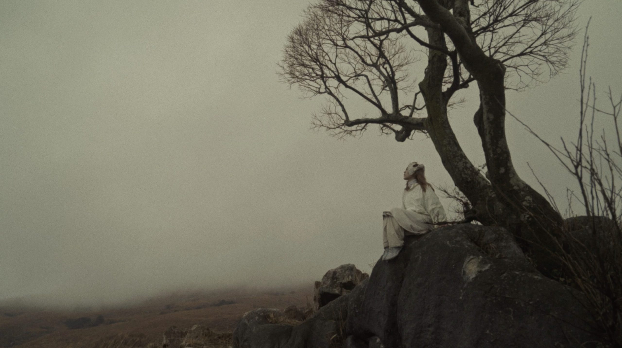 NEWLY – Poppy Field